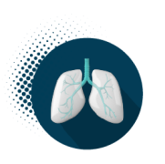 Lung Function Icon